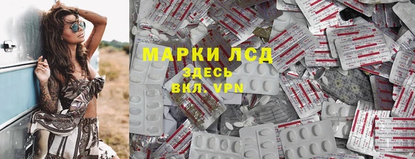 ГАЛЛЮЦИНОГЕННЫЕ ГРИБЫ Абаза