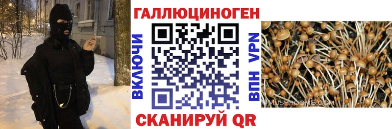 хочу   Змеиногорск  Галлюциногенные грибы MAGIC MUSHROOMS 